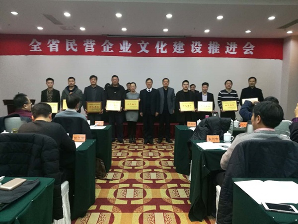 三寶科技榮獲“江蘇省民營企業(yè)文化建設(shè)示范單位”